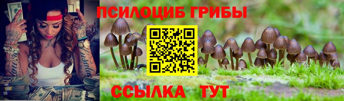 Светлоград  Галлюциногенные грибы Cubensis  Вход с VPN 